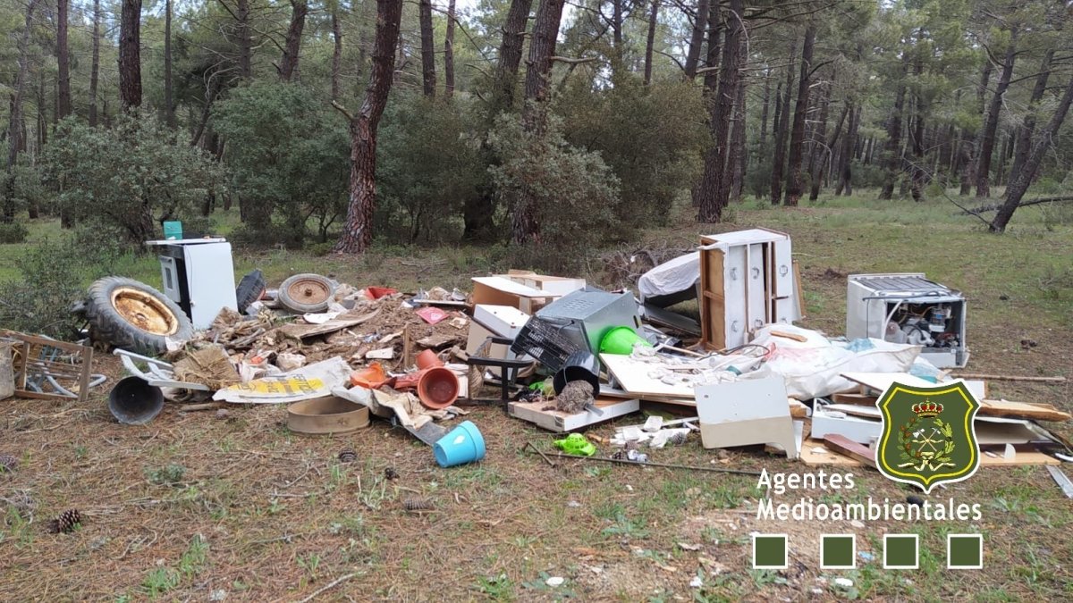 Estado en el que los agentes medioambientales encontraron el monte. HDS