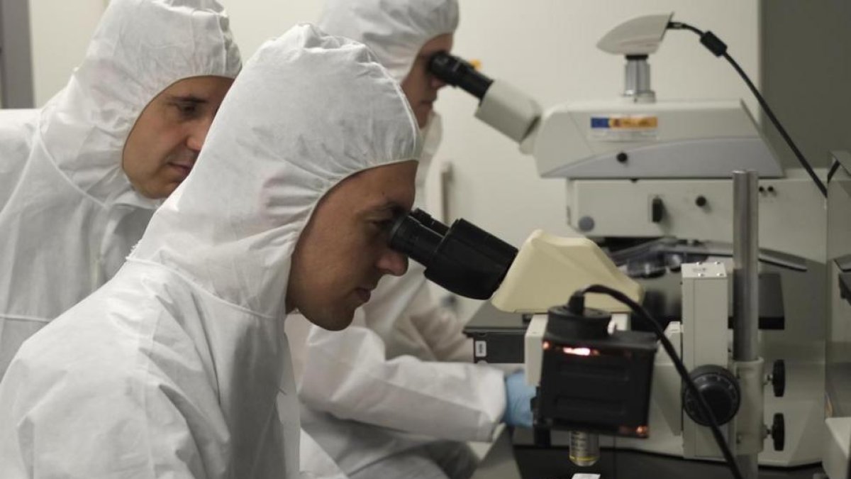 Varios investigadores-Enrique Carrascal