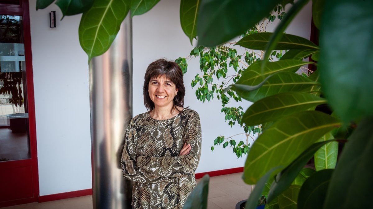 Raquel Ramos es directora del Centro de Desarrollo de Energías Renovables (CEDER) ubicado en Lubia. MARIO TEJEDOR