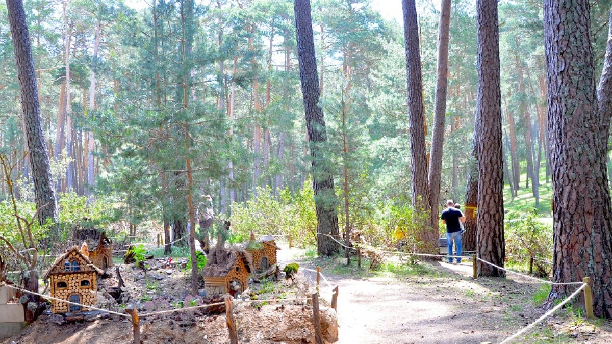 Bosque mágico de San Leonardo, Soria