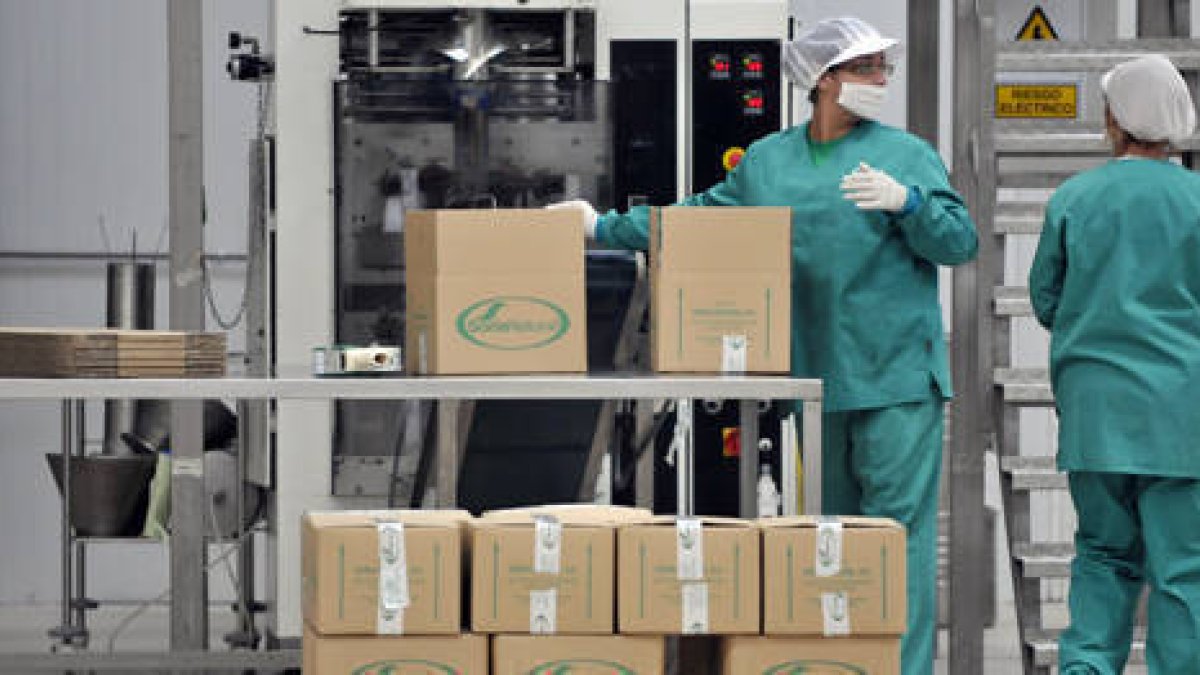 Una de las empresas sorianas exportadora./V.G.-