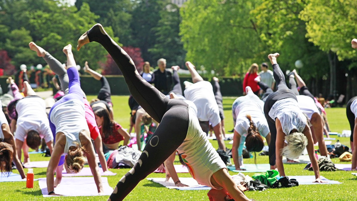 Yoga en La Dehesa. MARIO TEJEDOR