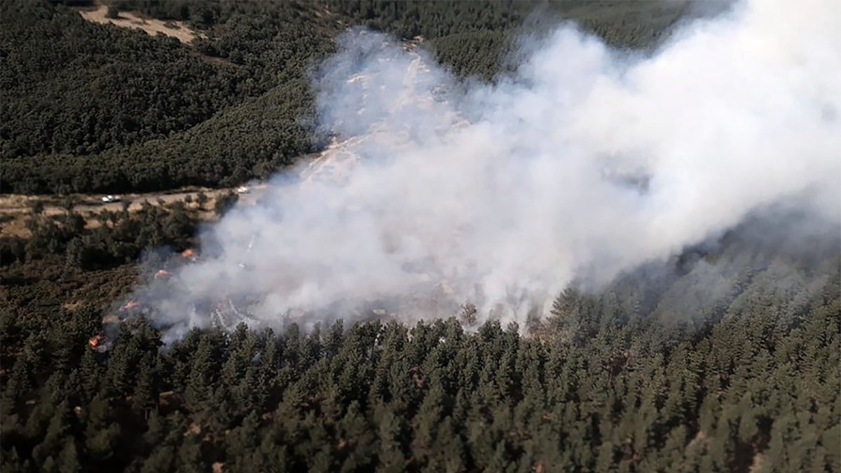 Incendio en Cueva de Agreda (Soria). ICAL