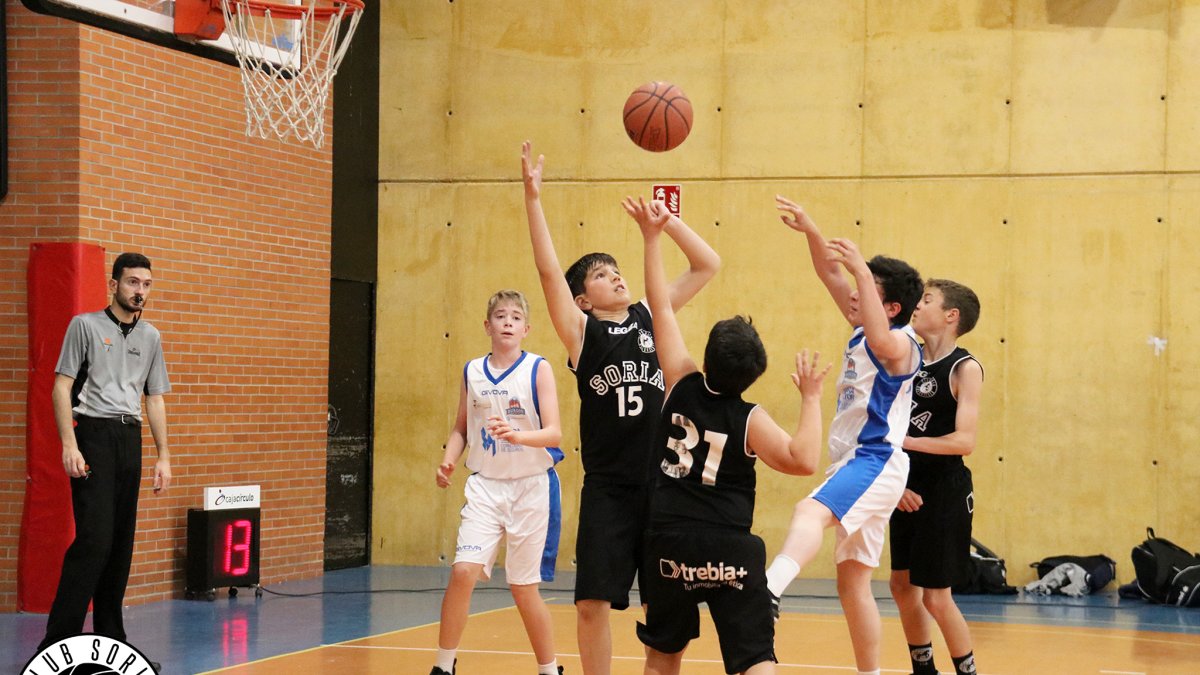 El Alevín del Club Soria Baloncesto le plantó cara al San Pablo Burgos. HDS