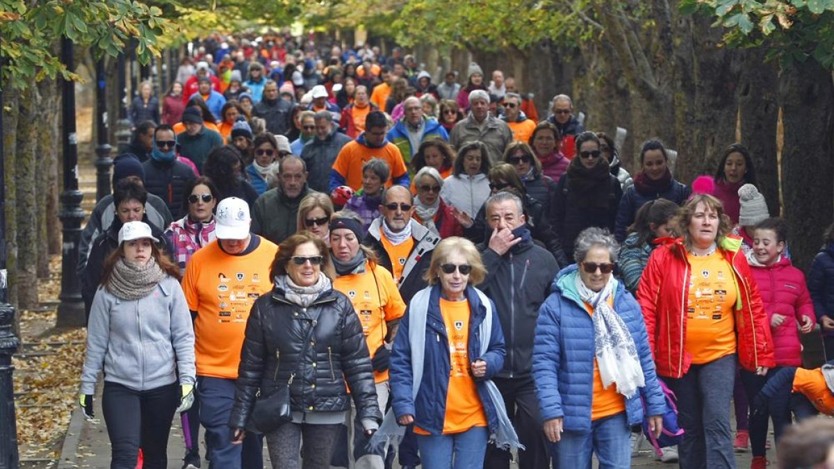 Participantes en la pasada edición del Camino por Soria contra el Cáncer.-Mario Tejedor