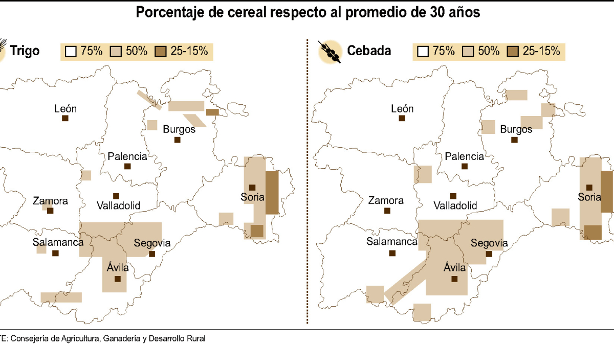 Porcentaje de cereal respecto al promedio de 30 a?os (15cmx8cm)