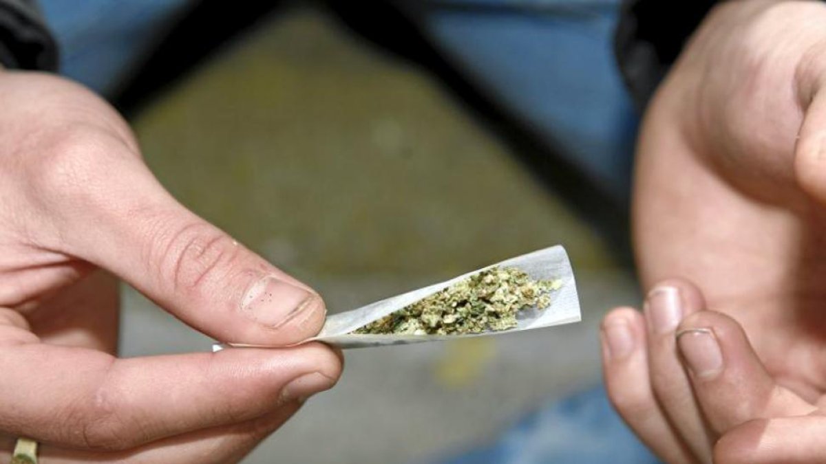 Los problemas con el cannabis son comunes.-Diego Mayor