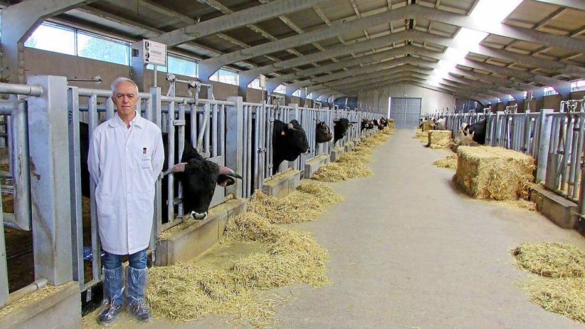 Juan Carlos Boixo, director del Censyra, en la nave de los toros.-Censyra