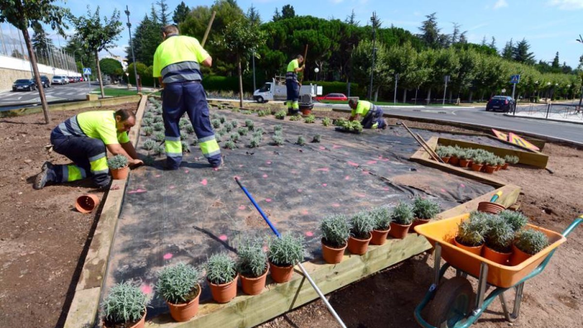 Trabajos en la rotonda de Odón Alonso, en una imagen de ayer por la mañana.-ÁLVARO MARTÍNEZ