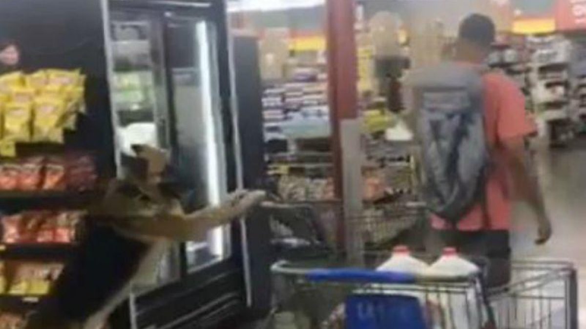 Captura de pantalla del perro conduciendo un carrito de la compa en un supermercado junto a su amo-TWITTER @ASHLEENN_