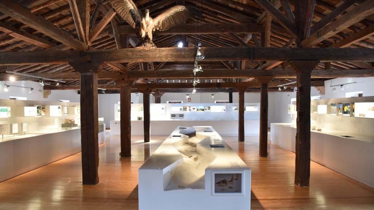 Casa del Parque del Cañón del río Lobos.-HDS