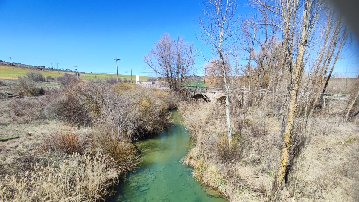 Cauce del río Abión. HDS