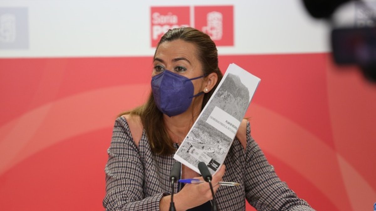 Virginia Barcones en su comparecencia. ICAL