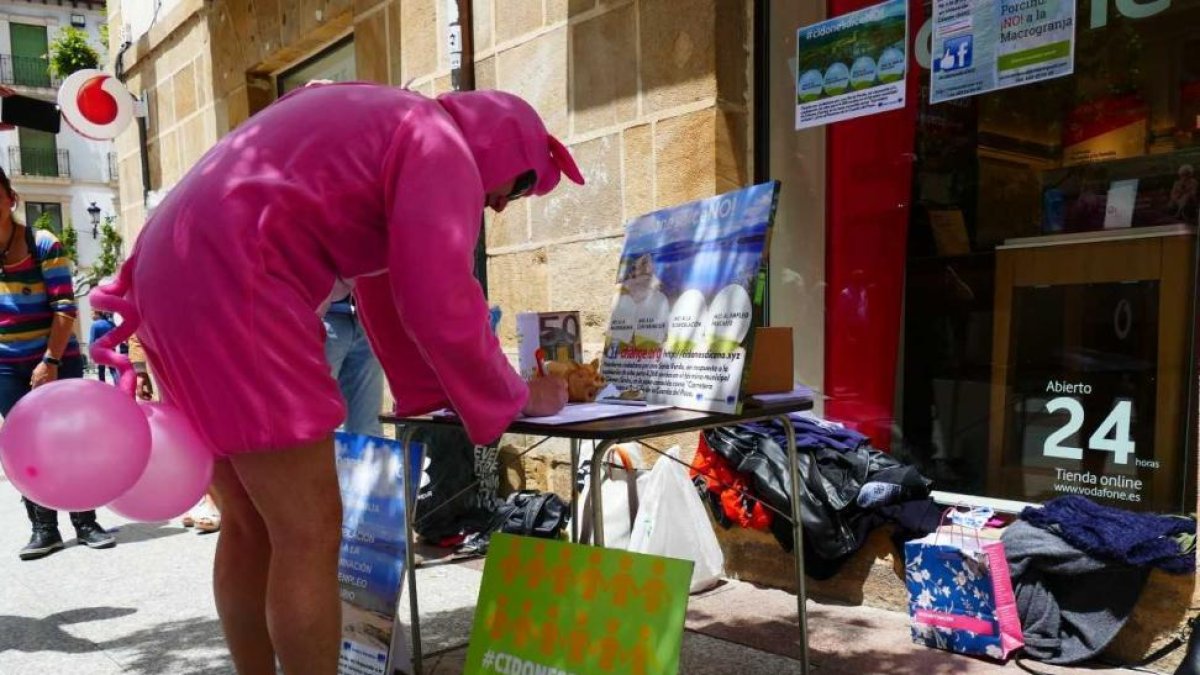 Incluso algún ‘cerdo’ ha firmado en contra de que se instale la granja porcina en Cidones.-HDS