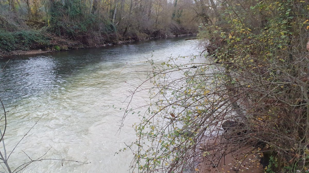 Río Duero turbio con vertidos túnel de la depuradora, según la asociación.-ASDEN