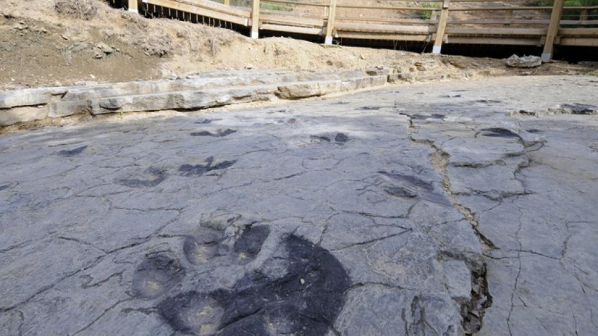 Una de las huellas fosilizadas en la zona de Tierras Altas-V.G.