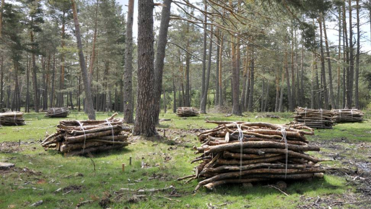 Venta de madera en Soria.-VALENTÍN GUISANDE