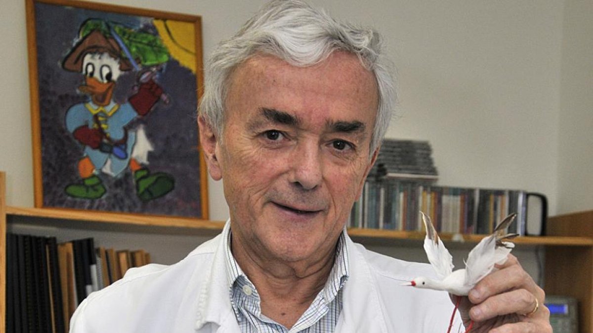 José Miguel Galparsoro-VALENTÍN GUISANDE