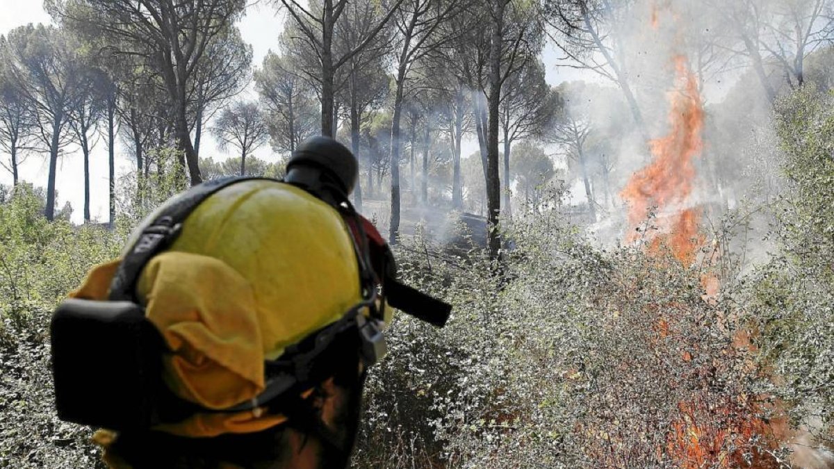 Un bombero forestal en una imagen de archivo. EL MUNDO