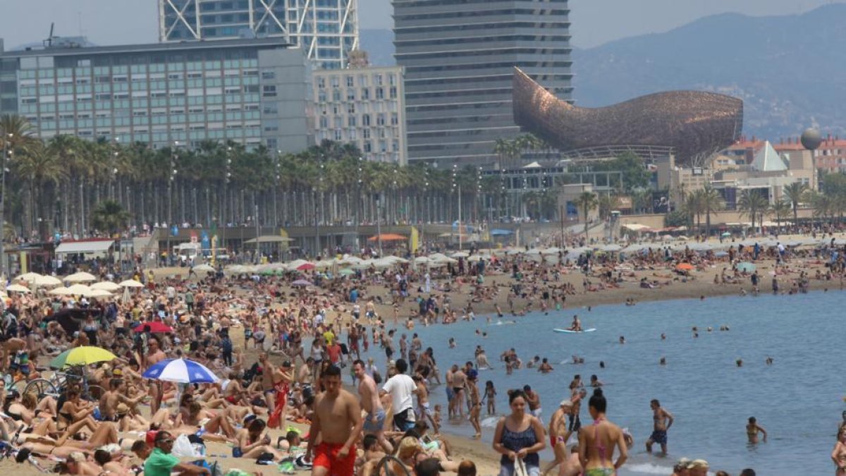 Bañistas en la playa de la Barceloneta, en Barcelona.-DANNY CAMINAL