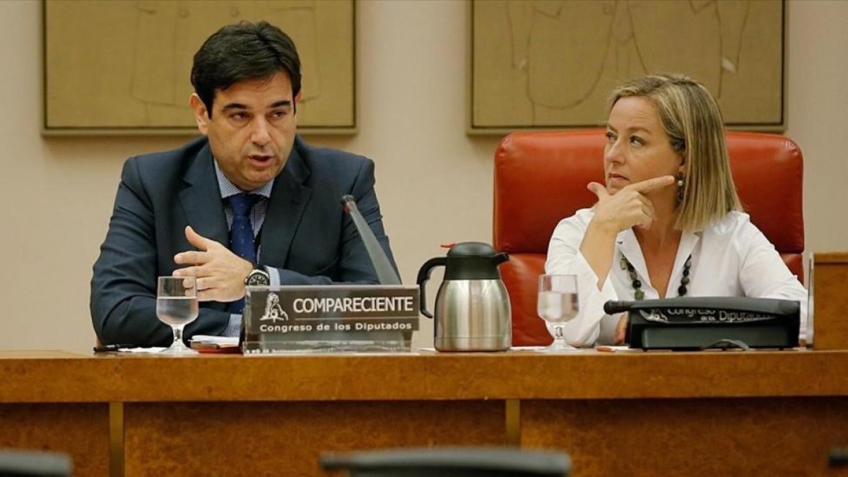 Pedro Luis Sanchez Ruiz, presidente de la Asociacion de Inspectores del Banco de España, junto a la diputada Ana Oramas, presidenta de la comisión parlamentaria de investigación sobre el rescate bancario.-JOSÉ LUIS ROCA
