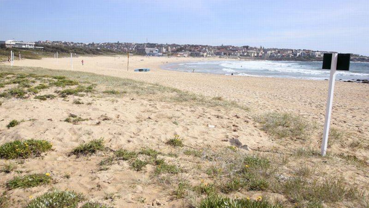 Lugar de la playa de Maroubra donde fue descubierto el cadáver del bebé.-Foto: AP / RICK RYCROFT
