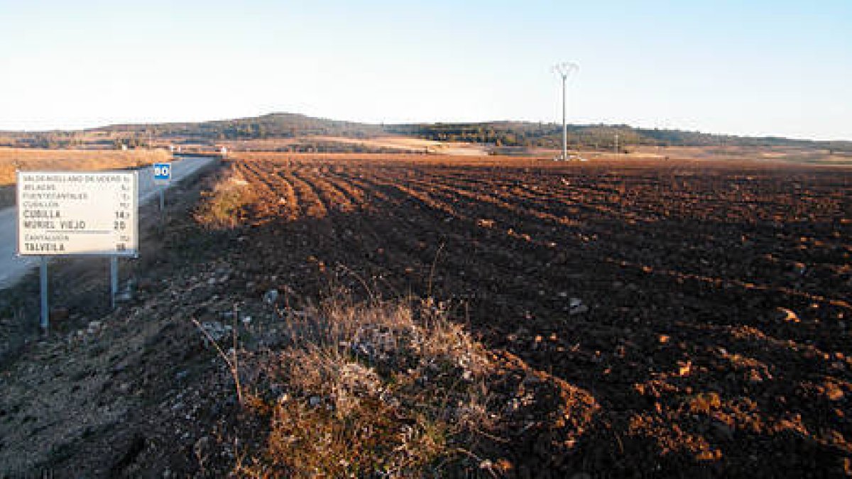 El terreno de la necrópolis de Ucero completamente labrado. / JAVIER SOLÉ-