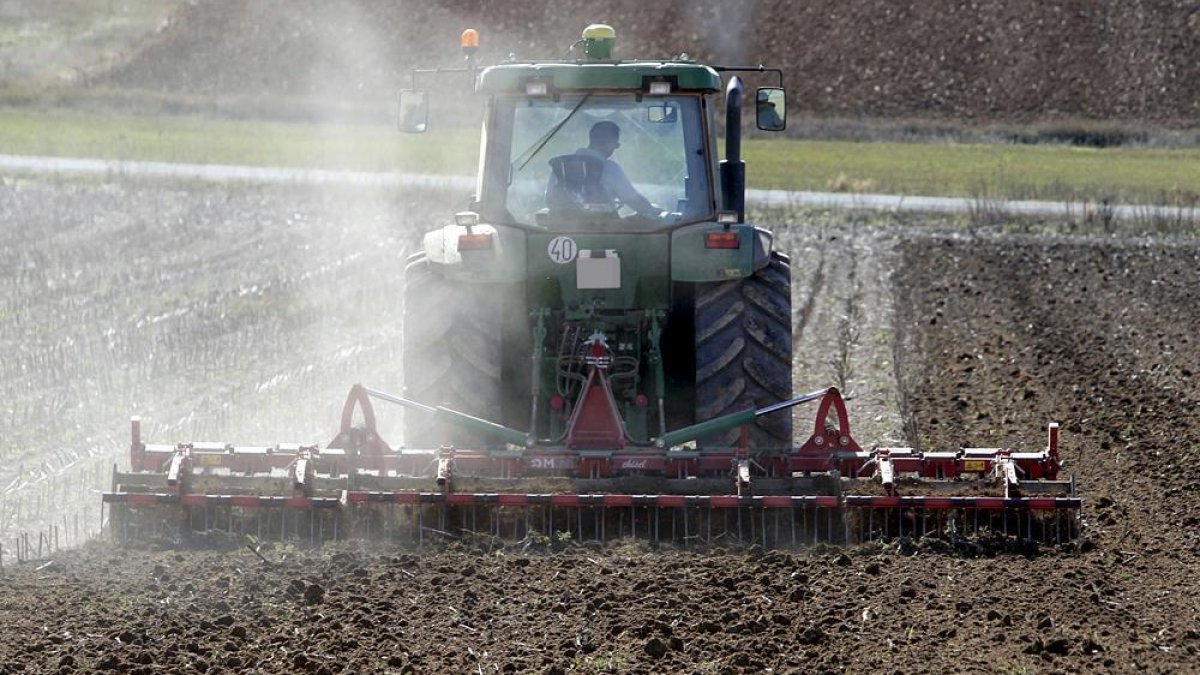 Un tractor trabaja una parcela agrícola.-HDS
