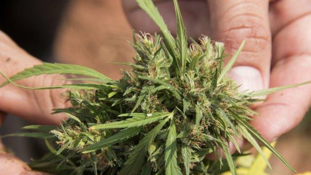 Con esta ley se beneficiarán miles de personas de todo el estado.-EFE