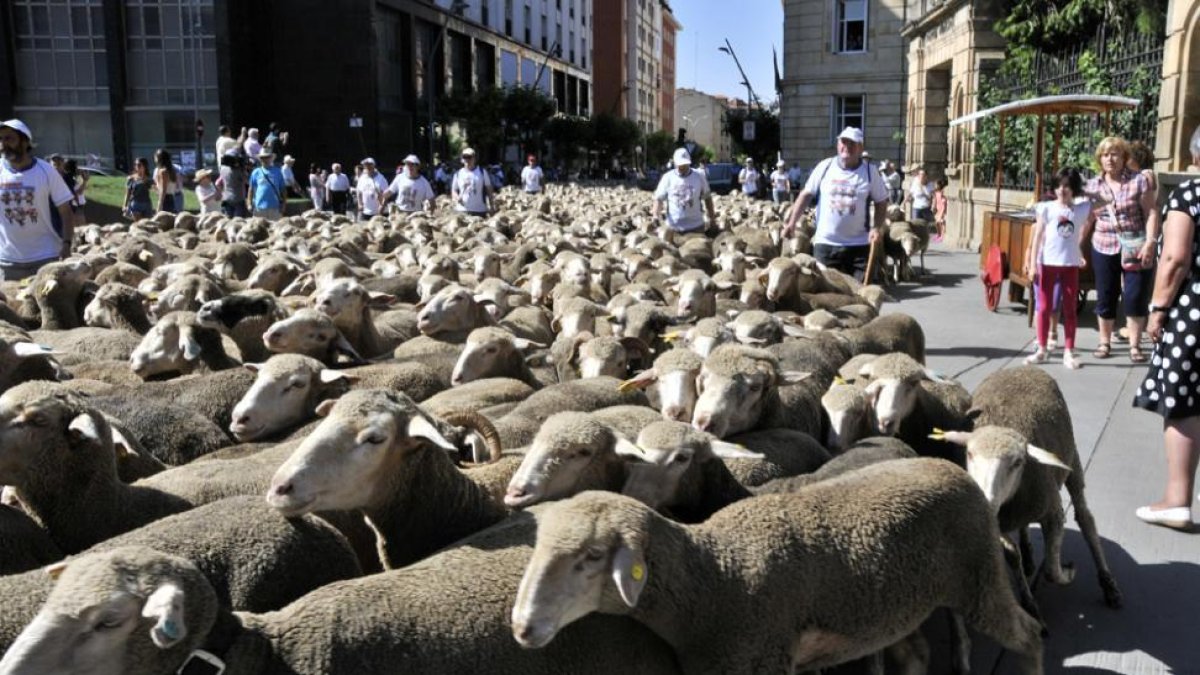 Las ovejas cruzando Soria-V. Guisande