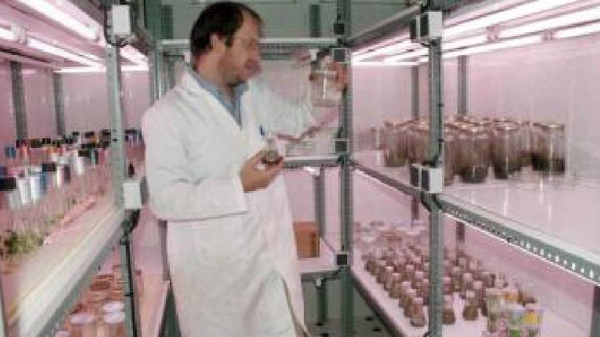 Dependencias del centro de investigación forestal de Valonsadero. / ÁLVARO MARTÍNEZ-
