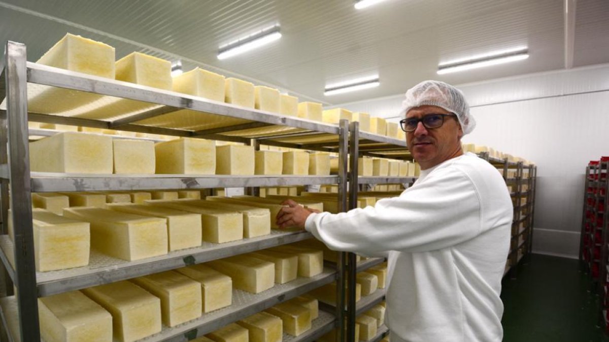 La quesería de Ólvega fabrica queso en barra para comercializarlo.-A. M.