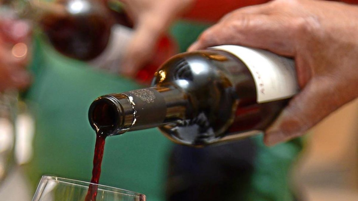 Cata de vinos con denominación de origen de Castilla y León.-ICAL