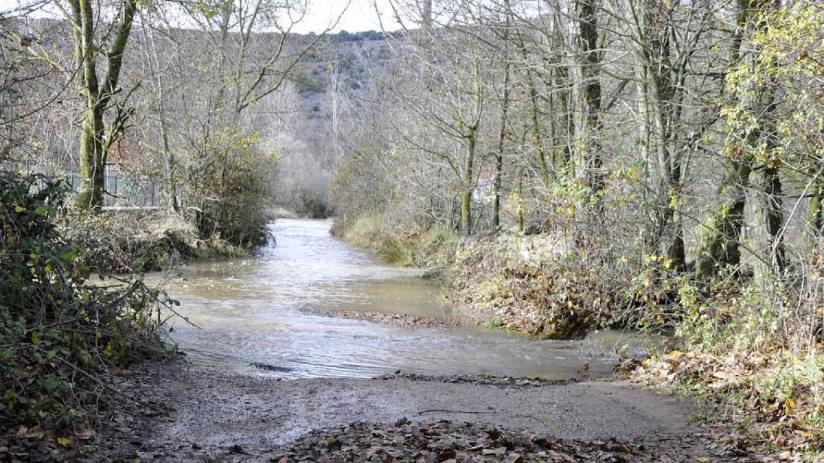 Fotografía de un zona de Chavaler, en una imagen de ayer por la mañana.-DIEGO MAYOR