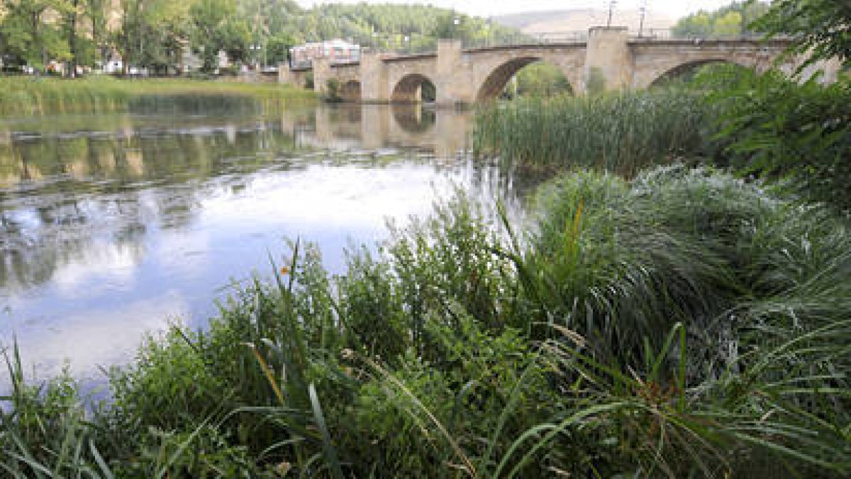 Las márgenes del río Duero. / V. G.-