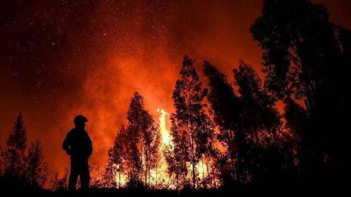 Un bombero, ante las llamas en Maçao, donde está el frente más activo del incendio.-AFP / PATRICIA DE MELO MOREIRA