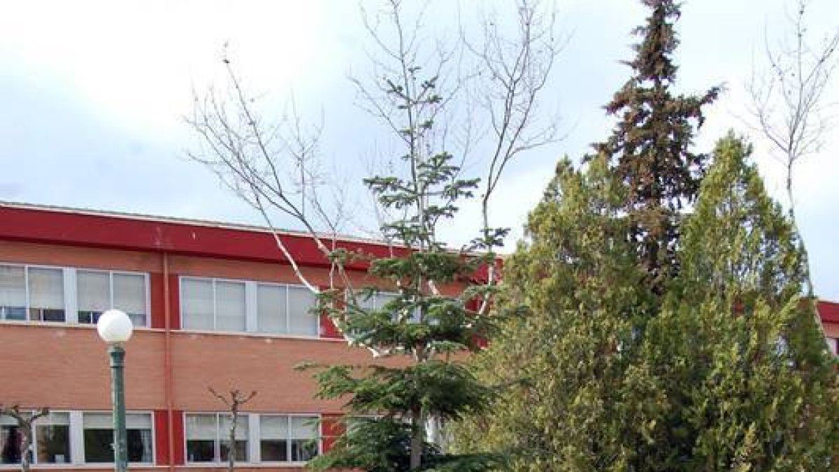Árbol que han colocado en el lugar que estaba el busto del General Yagüe. / AYUNTAMIENTO DE SORIA-