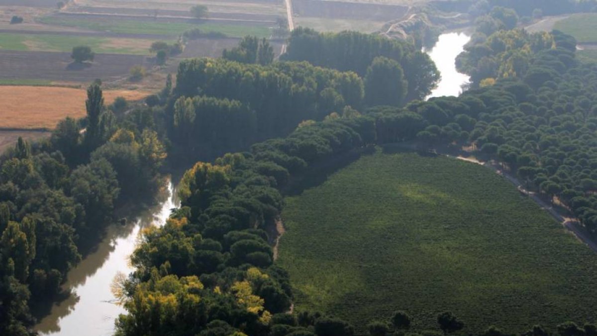 Viñedos y río Duero en la Ribera del Duero cerca de Pesquera de Duero (Valladolid).