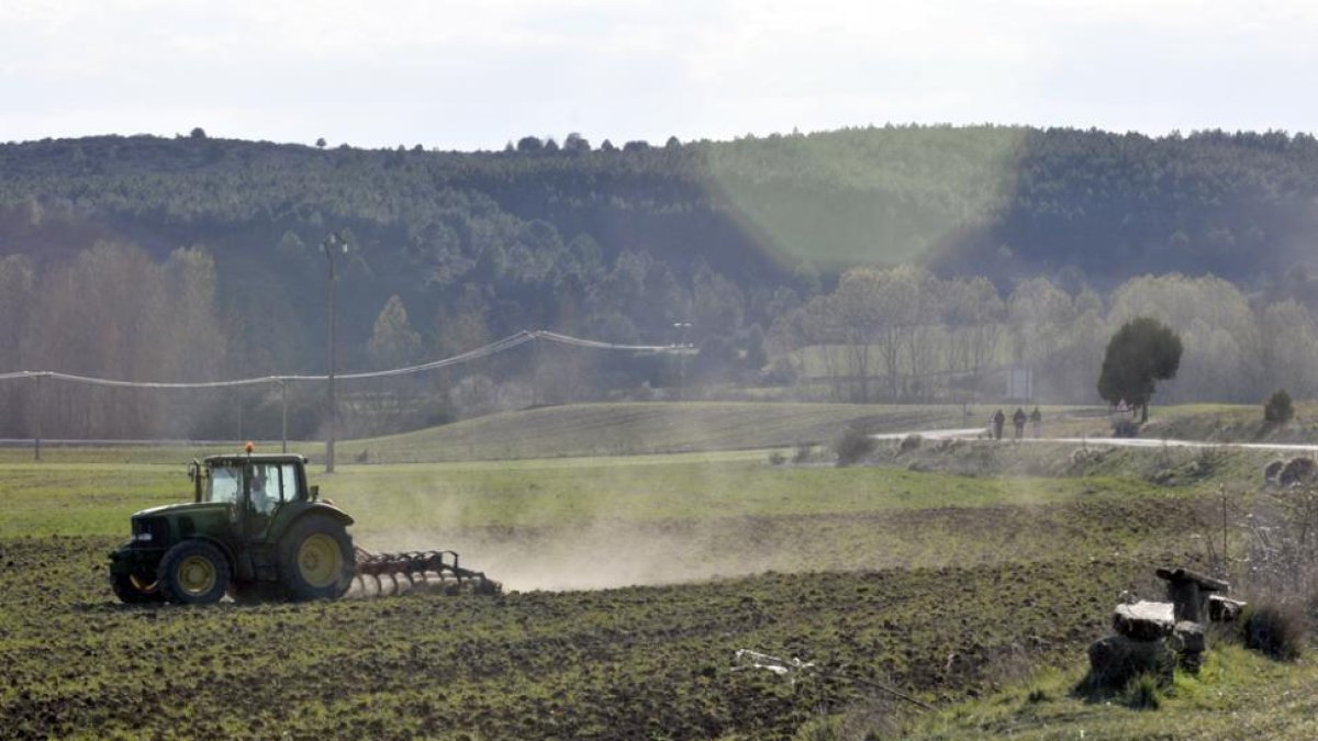 Los agricultores son los profesionales que más optan por flexibilizar su retiro.-Valentín Guisande