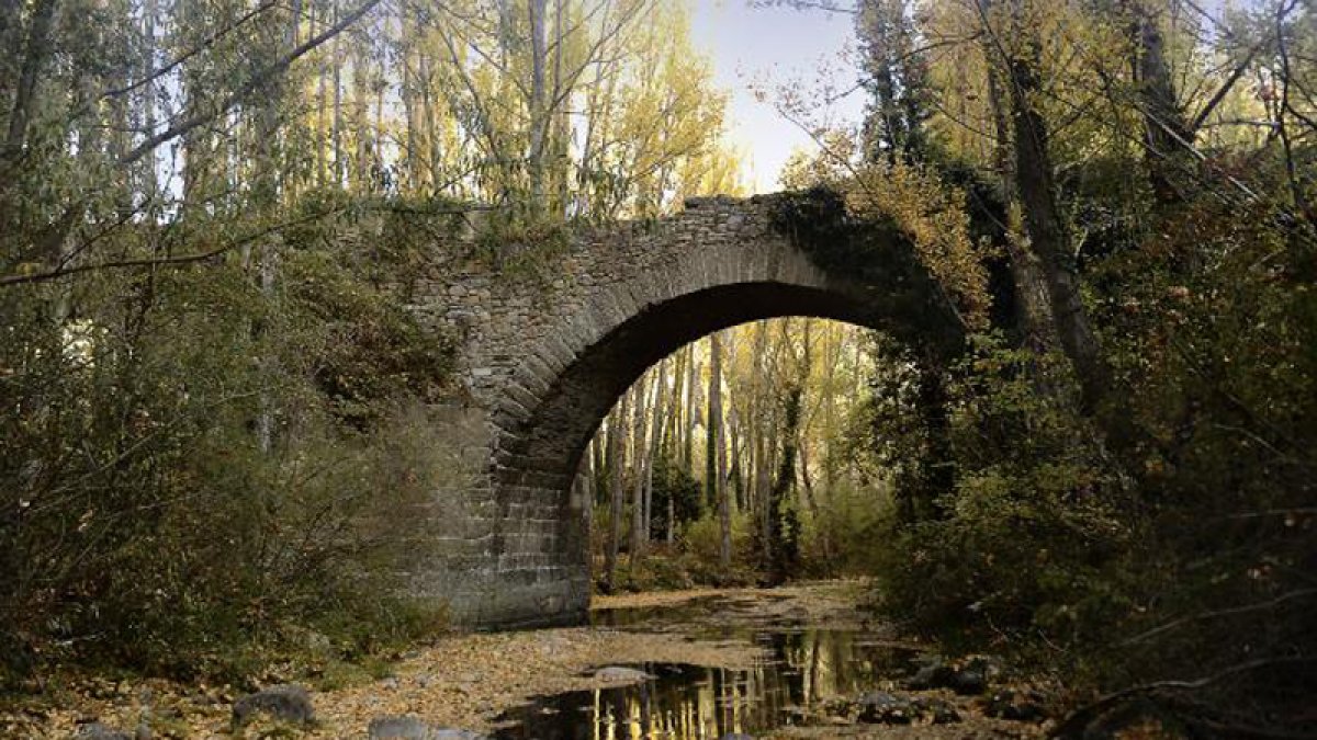Imagen del río Cidacos en el término de Yanguas.-L.A.T.