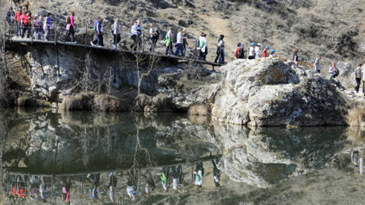 Márgenes del río Duero. VALENTÍN GUISANDE-