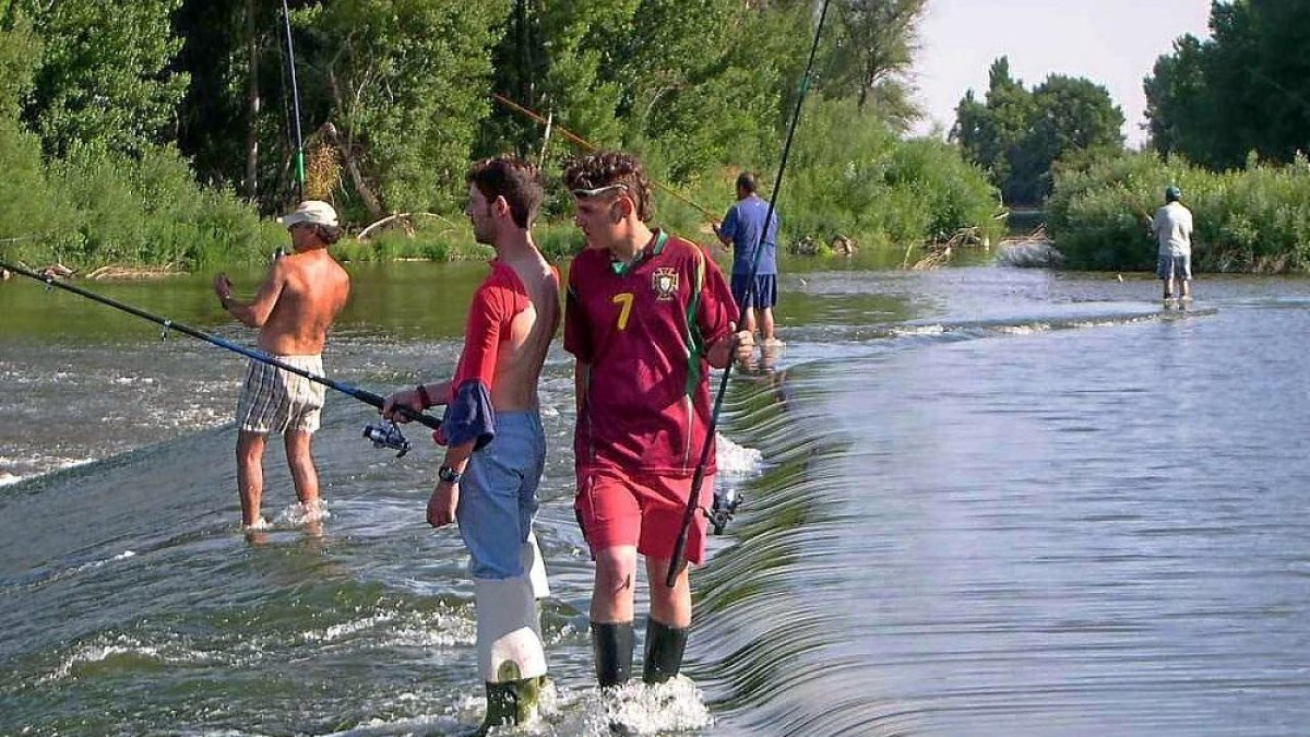 Un grupo de aficionados a la pesca de ciprínidos durante una jornada en el Pisuerga. --LEONARDO DE LA FUENTE