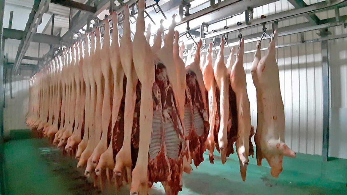 Canales en una zona de matadero.-HDS