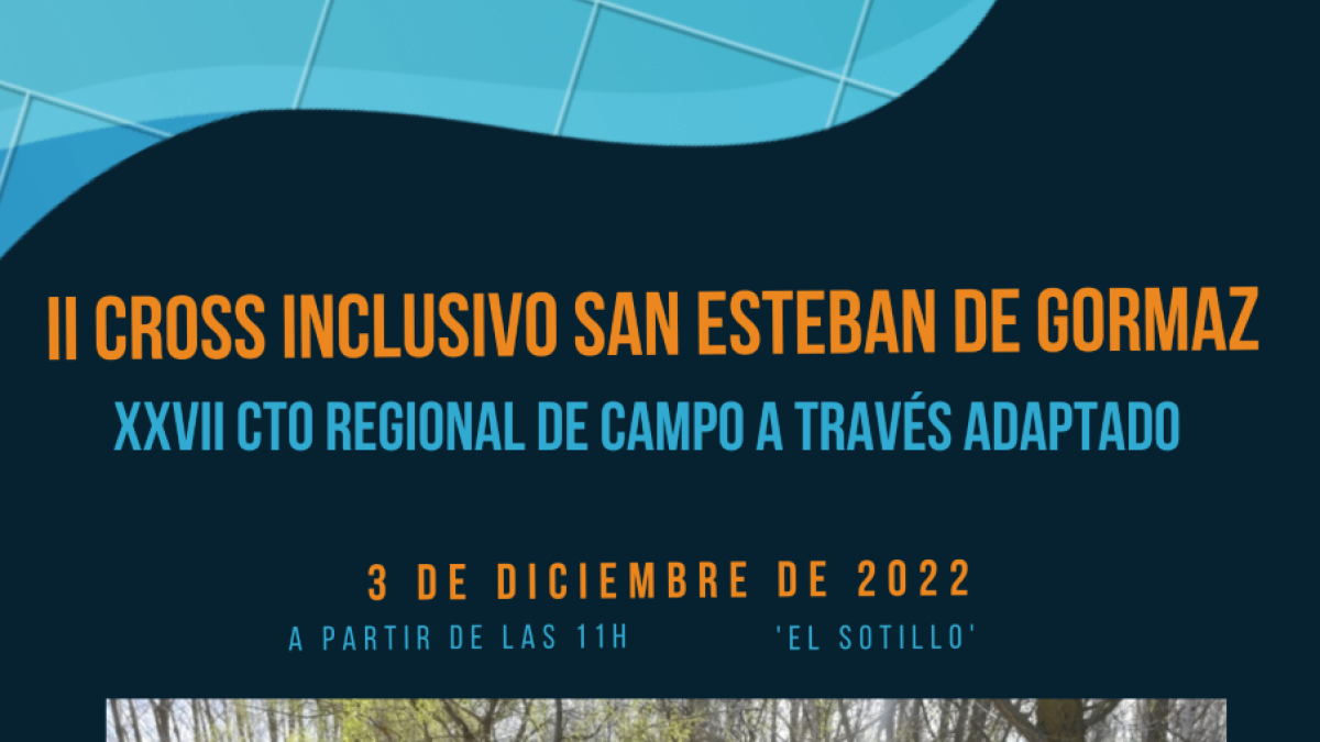 Cartel del Regional que se celebrará en San Esteban de Gormaz.