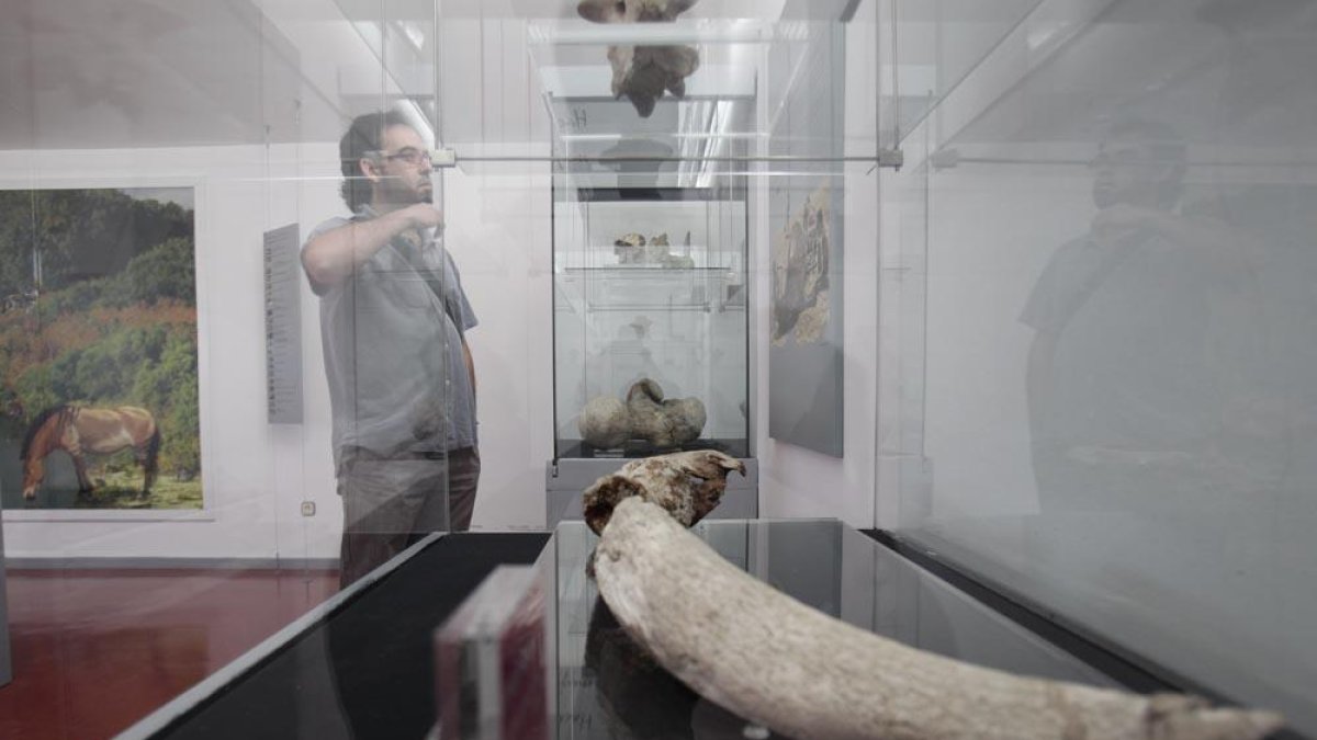 Instalaciones de Ambrona-LUIS ÁNGEL TEJEDOR