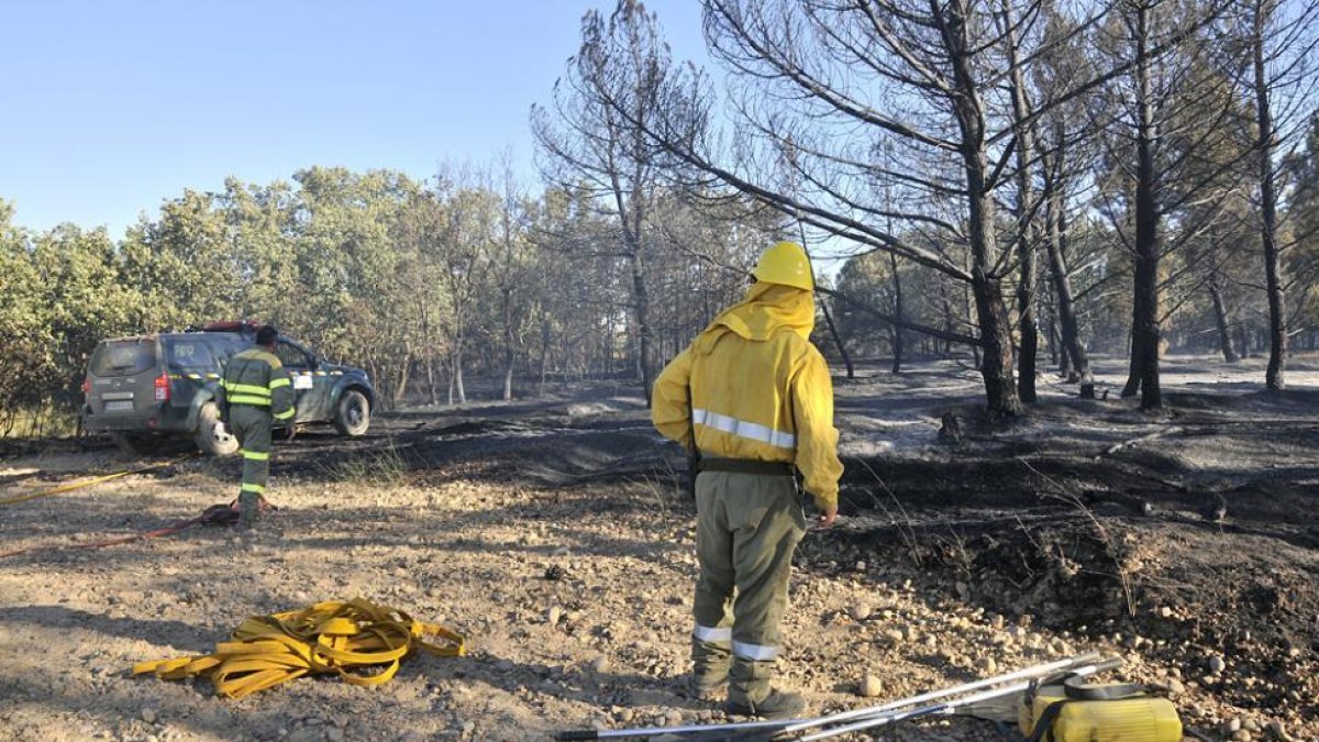 Personal de extinción de incendios en una imagen de archivo.-VALENTÍN GUISANDE