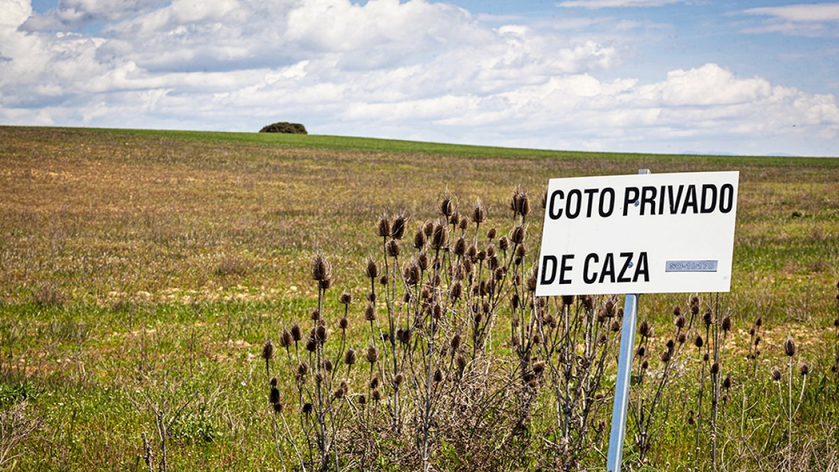 Un coto de caza en la provincia - MARIO TEJEDOR