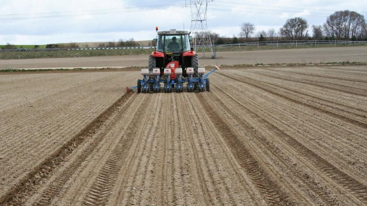 Un agricultor realizando labores de siembra. HDS
