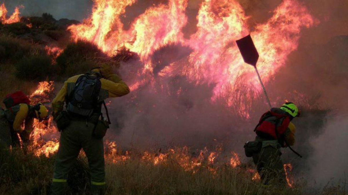Varios efectivos se enfrentan a las llamas en el incendio de Yeste.-JUAN SAN MIGUEL