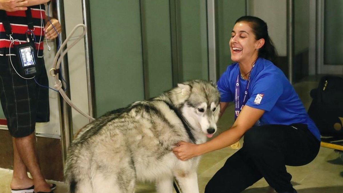 Carolina Marín acaricia a uno de sus dos perros, a la llegada a Barajas. /-J.P.GANDUL (EFE)